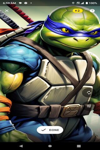 Leonardo the Ninja Turtle 🐢💥