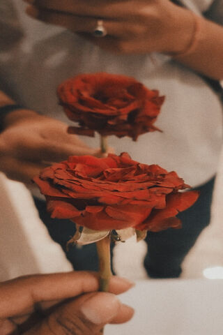 Timeless Beauty: The Re..
