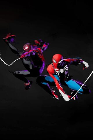 Web-Slinging Duo: Spide..