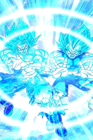 SSGSS Goku and Vegeta