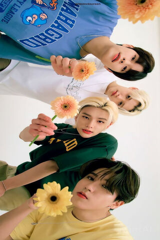 Skz