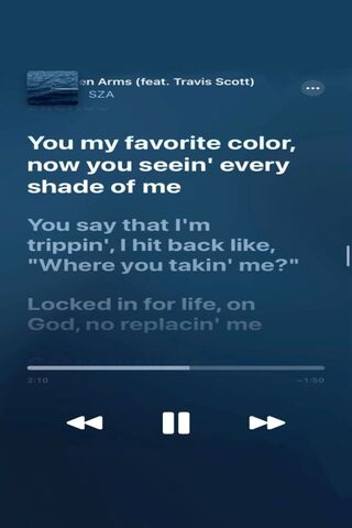 Lyrics from 'Shirt' by SZA 🎶