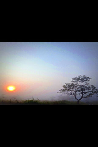 Serene Sunrise 🌅