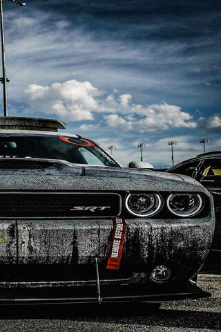 Bold Muscle Car Under D..