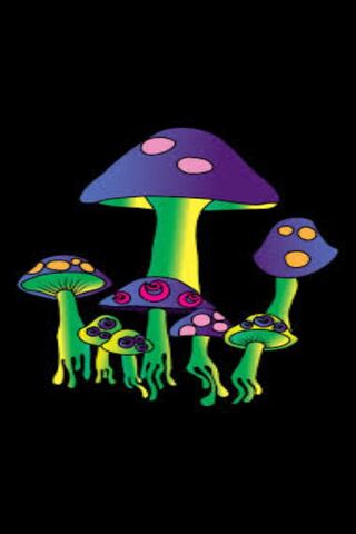 Colorful Fantasy Mushrooms