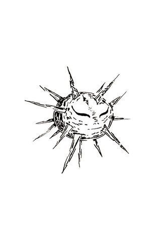 Radiant Sun Symbol ☀️✨