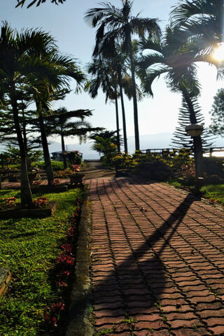 Serene Pathway in Parad..