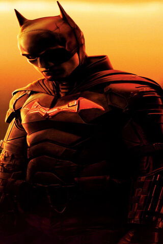 The Dark Knight Rises �..