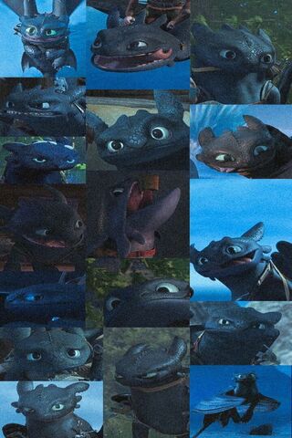 Toothless the Night Fur..