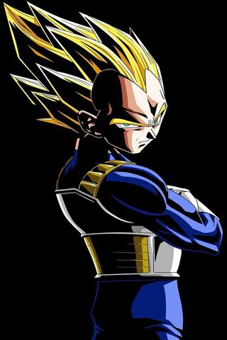The Proud Saiyan Prince..