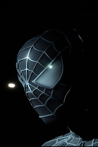 The Mysterious Spider-Man 🕷️✨