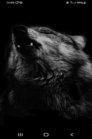 Majestic Howl of the Wo..