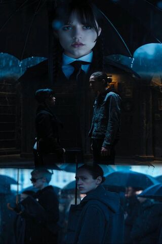 Mysterious Encounters in the Rain ☔️🌧️