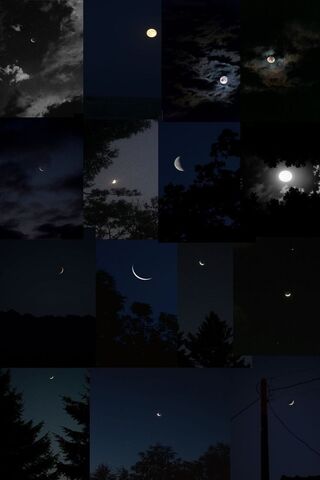 Moonlit Wonders 🌙✨