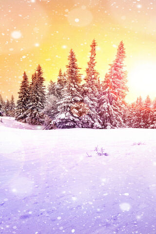 Winter Wonderland at Sunset 🌅❄️