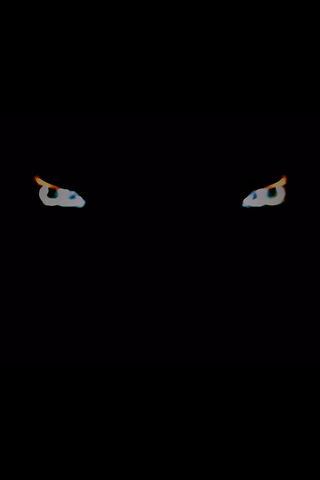 Mysterious Gaze 👀✨