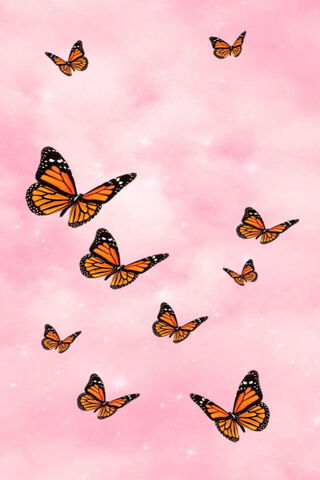 Fluttering Monarchs