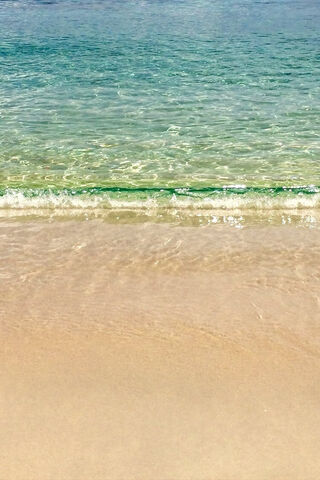 Serenity at Barbados Beach 🌊🏖️