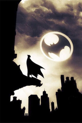 The Dark Knight Rises 🌌🦇