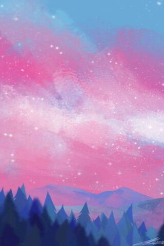 Forest With Pretty Sky