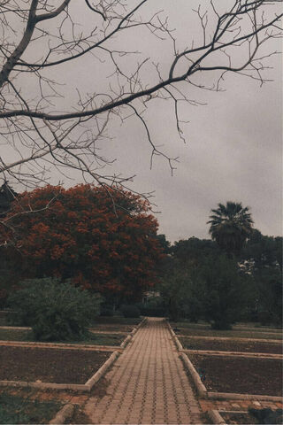 Landscape