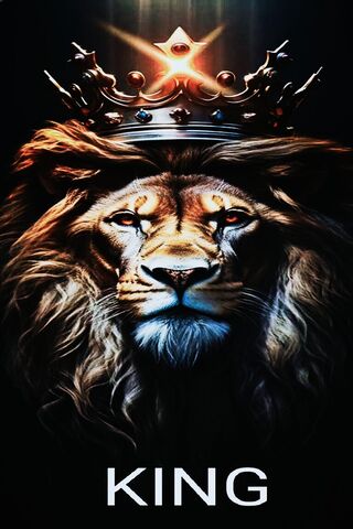 The Majestic King 🦁👑