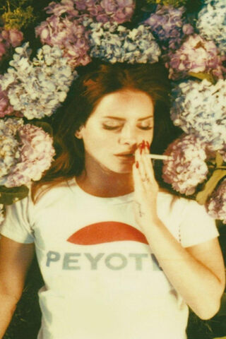 Dreamy Vibes 🌸✨