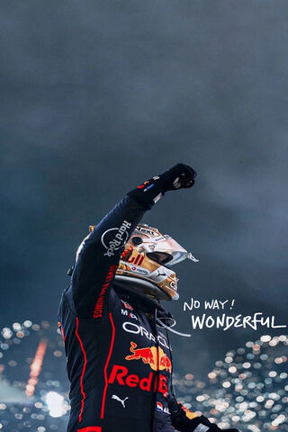 Max Verstappen F1
