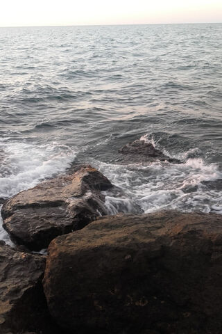 Serenity by the Sea 🌊✨