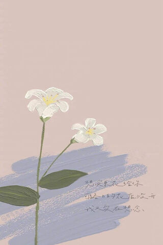 Elegant White Lilies 🌸✨
