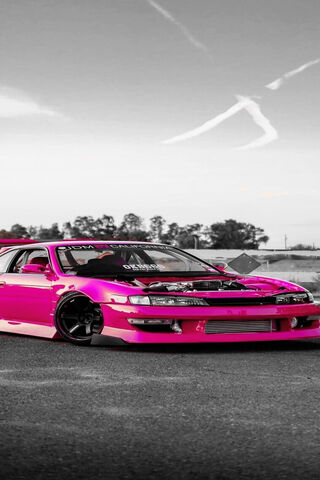 Eye-Catching Pink Drift..