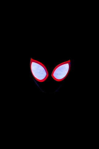 Mysterious Hero in the Shadows 🕷️✨