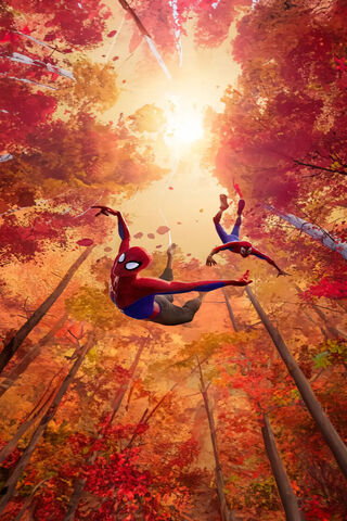 Swinging Through Autumn..