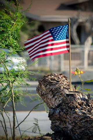 Proudly Displayed 🇺🇸
