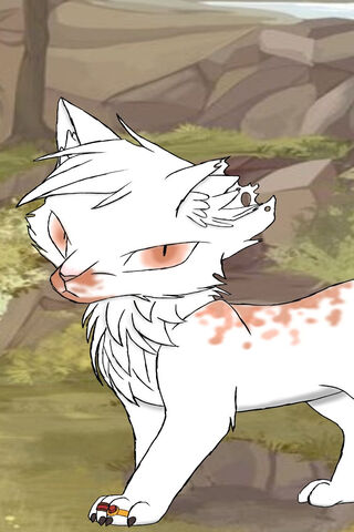 Warrior Cats