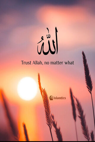 Trust in Allah 🌅