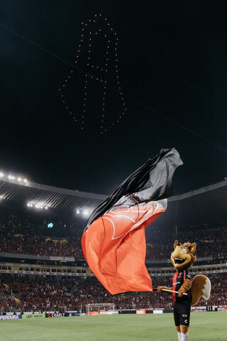 Spectacular Night at th..