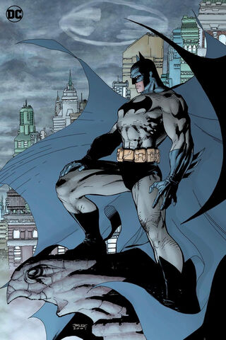 The Dark Knight Rises 🦇
