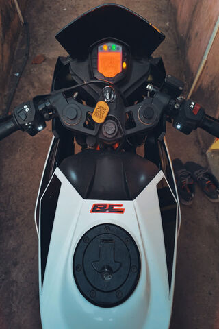 Puppy Dreams on Two Wheels 🐶🏍️