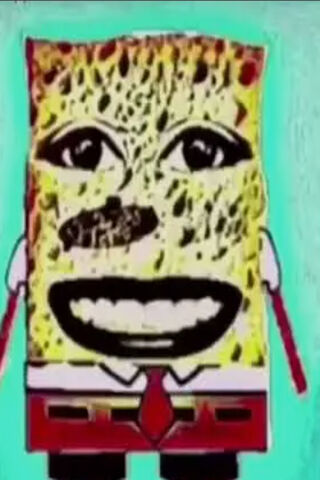 Distorted Sponge: A Div..