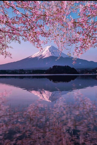 Serene Spring at Mount Fuji 🌸🏔️
