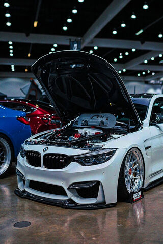 Sleek BMW Beauty at the..