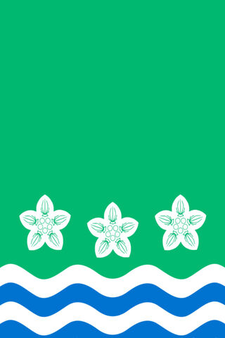 Vibrant Coastal Design ..