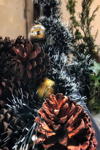 Christmas Vibes