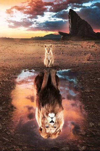Majestic Reflections 🦁🌅