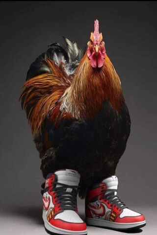 Sneaker Style Chicken 🐔👟