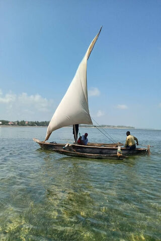 Tranquil Sailing on Clear Waters