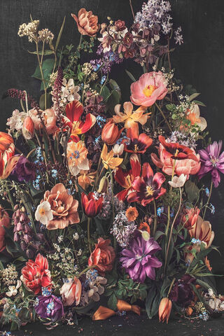 Blooming Beauty 🌸✨
