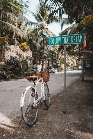 Follow That Dream 🚴‍♀️✨