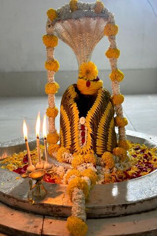 Divine Serenity: A Sacred Offering 🕉️🌼